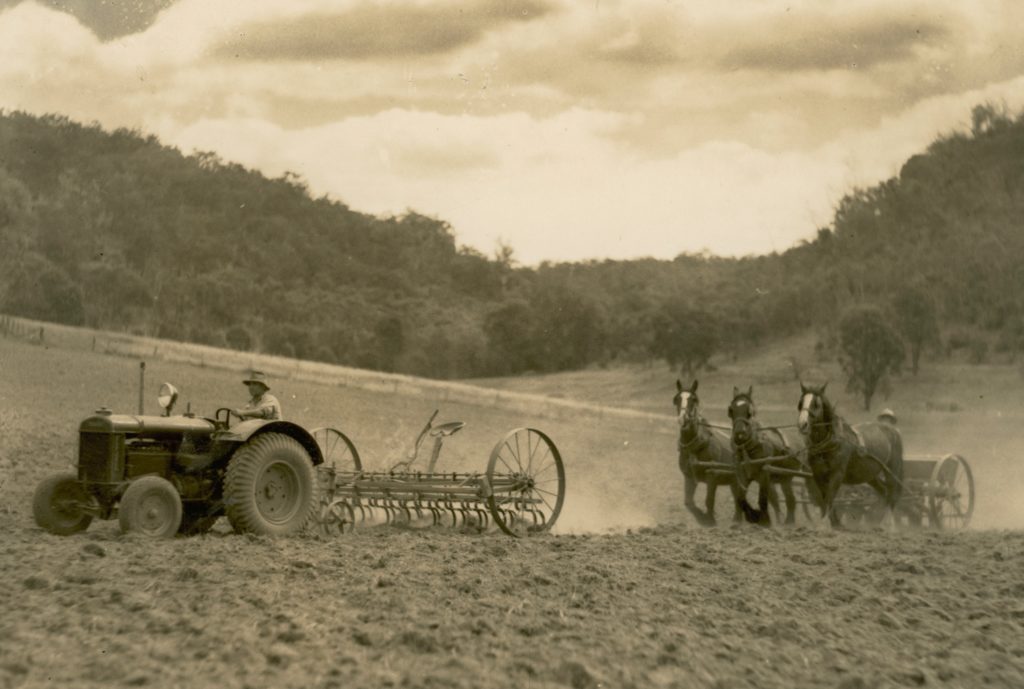 Black and white photograph showing a paddock being worked with a man driving a tractor pulling a cultivating implement being following by three horses pulling a seed-drill.